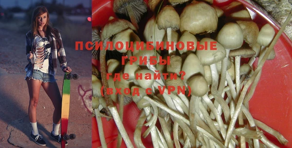 spice Алексеевка